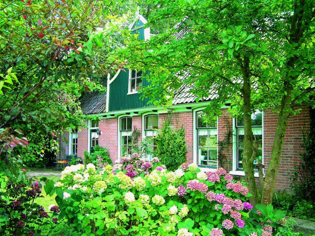 B&B Abbekerk Exterior photo